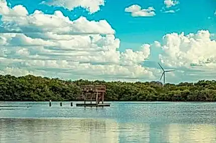 martin casino 4a7877