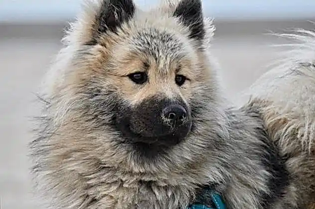 MARTIN сегодня 572e4b